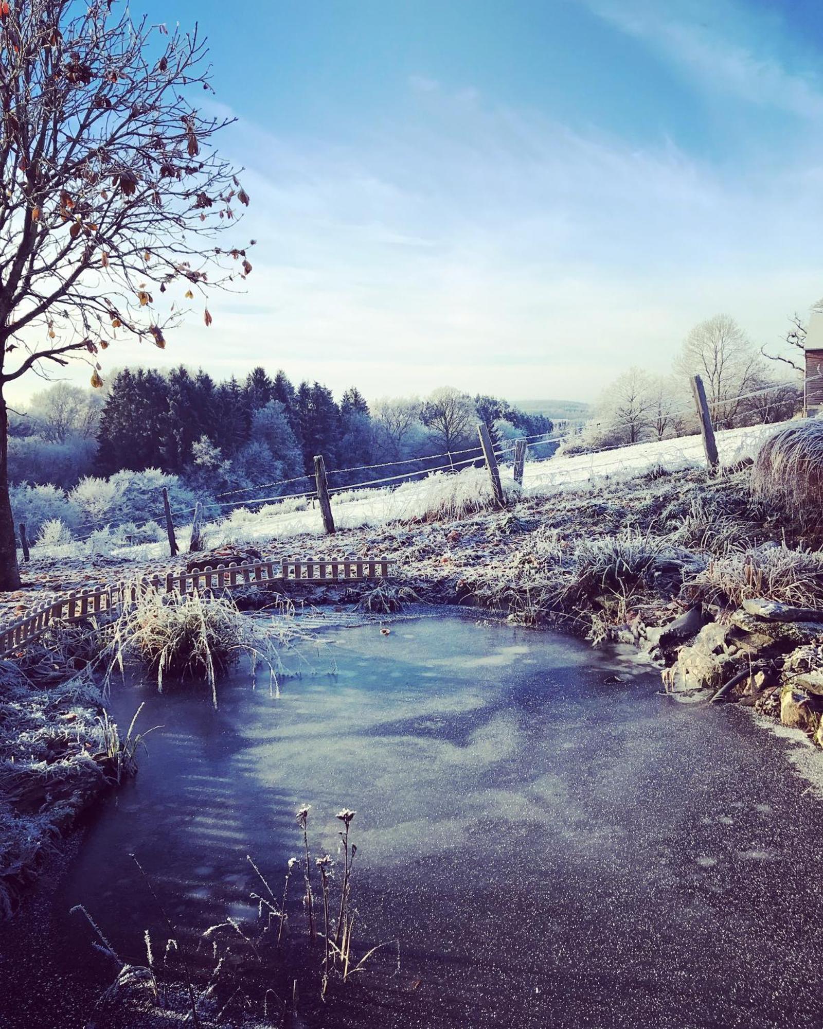 La Vieille Forge B&B Houffalize Buitenkant foto