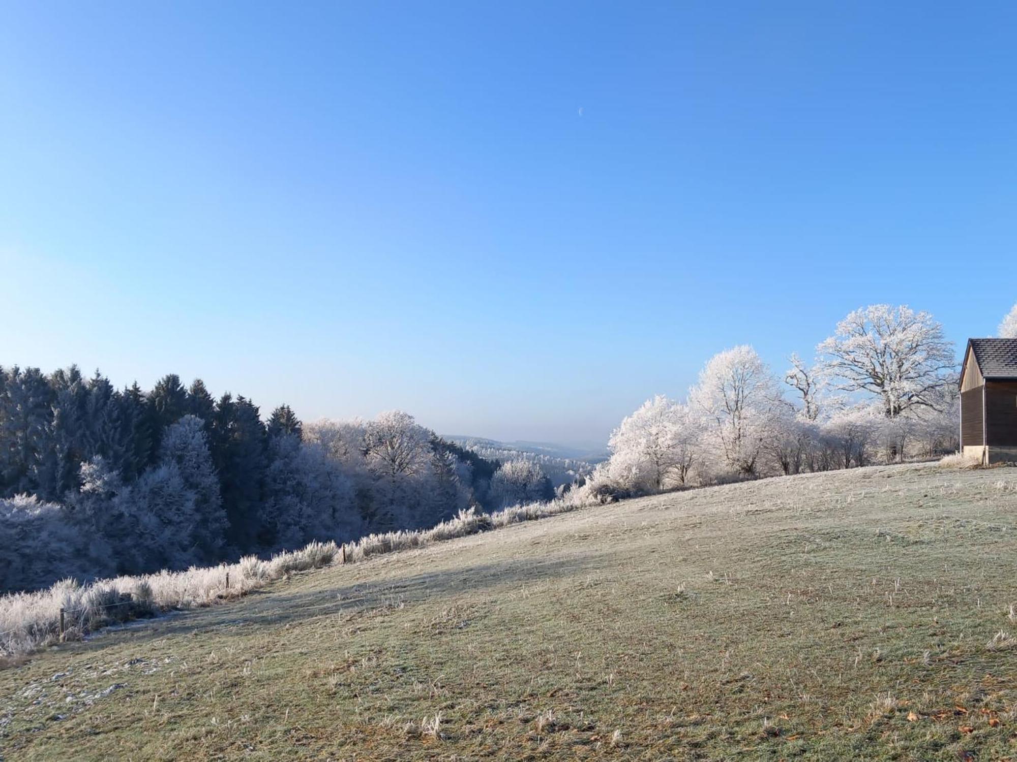 La Vieille Forge B&B Houffalize Buitenkant foto